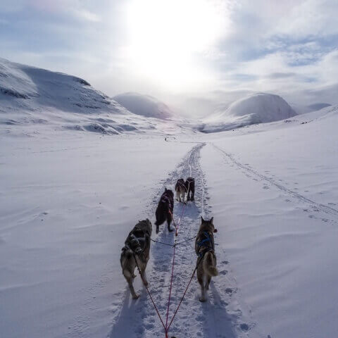 Active Adventure