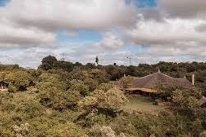 Kilima Mara Camp, views