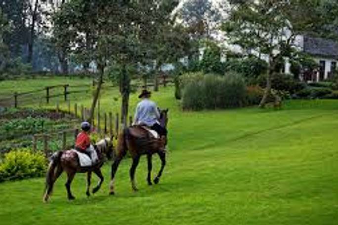 Elewana, The Manor Ngorongoro, Horse Riding