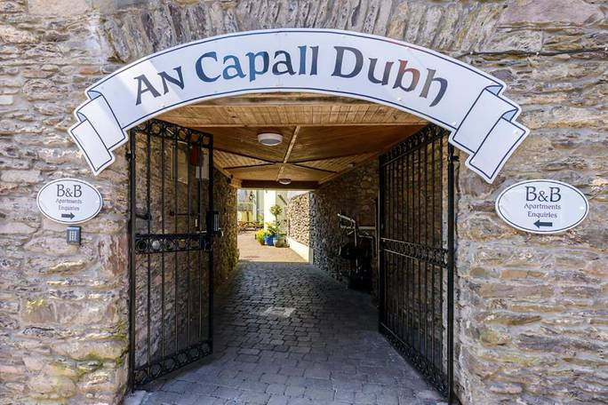 An Capall Dubh B&B Dingle in An Daingean offers family rooms with private bathrooms. Each room includes a work desk, TV, and free WiFi.
Guests can enjoy a garden, outdoor seating area, and picnic spots. The property provides free on-site private parking,