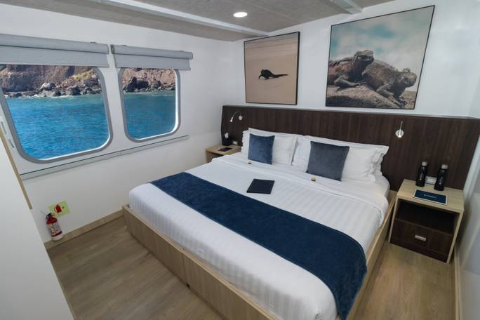 Standard main deck cabin