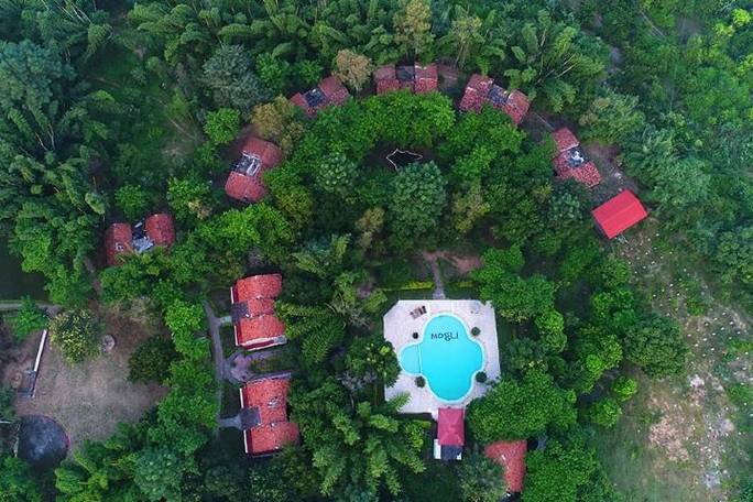 Mogli Jungle Resort Bandhavgarh