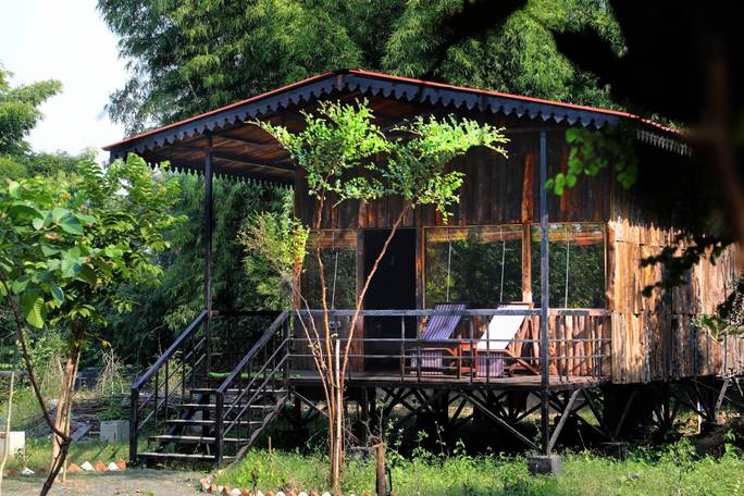 Mogli Resort or similar - Kanha National Park