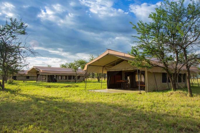 Thorn Tree Camp – Central Serengeti