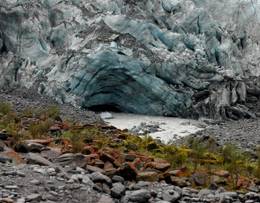 Fox Glacier