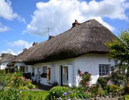 Adare