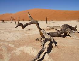 Parc national de Namib-Naukluft