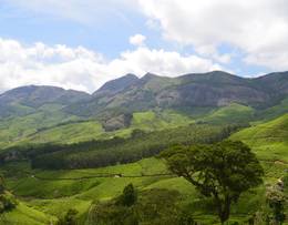 Munnar