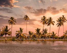Alleppey