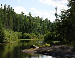 Parc provincial Algonquin