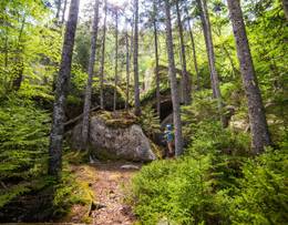Acadia National Park