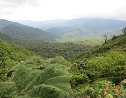 Monteverde