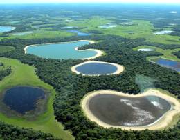 Pantanal