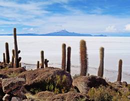 Le salar d'Uyuni