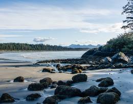 Tofino