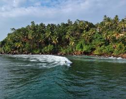 Mirissa