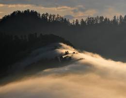 Ghorepani