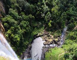 Springbrook