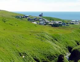 Vik