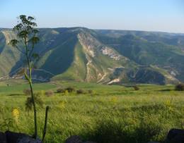Golan Heights