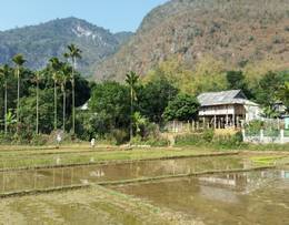 Mai Chau