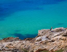 Betty's Bay