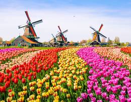 Keukenhof