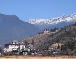 Paro