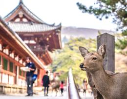 Nara