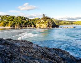Dunedin
