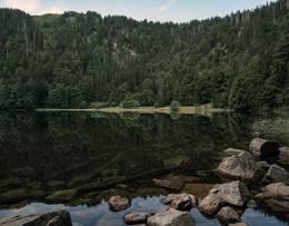 Black Forest