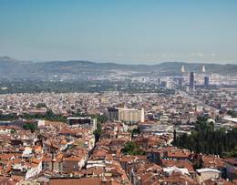 Bursa