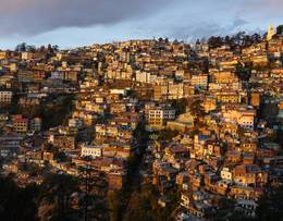 Shimla