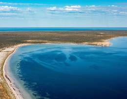 Réserve de Monkey Mia