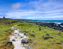 Santa Cruz Island