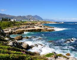 Hermanus