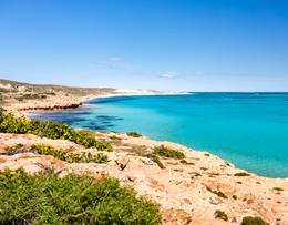 Coral Bay