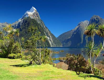 Solo group tours to Australia and Oceania