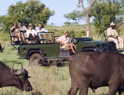 Safari-Jeep bei einer privaten Safari in Afrika