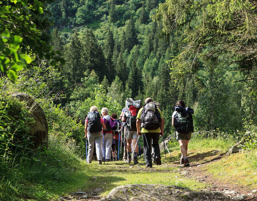 Group of elderly people on a walking tour