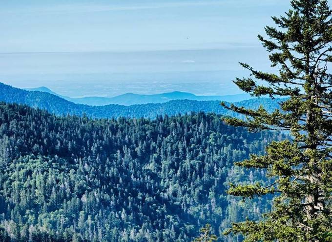 The blue haze of Great Smoky Mountains National Park