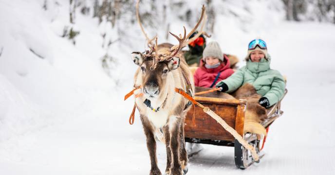 Reindeer sleigh ride