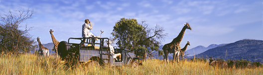 safari-africa