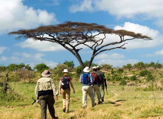 Choose a tour operator with sustainable practices in place on TourRadar