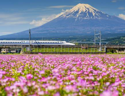 Shikansen train in front of Mount Fuji