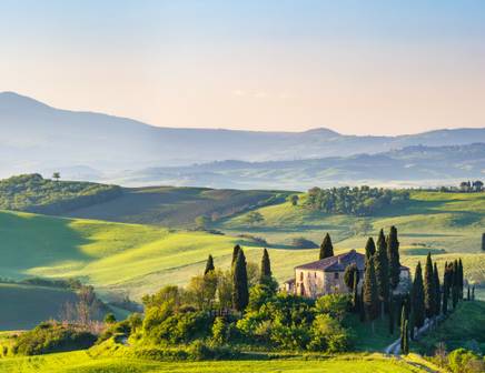Cypress grove and house in tuscan landscape
