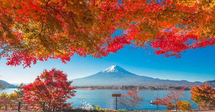 Mount Fuji in fall colors