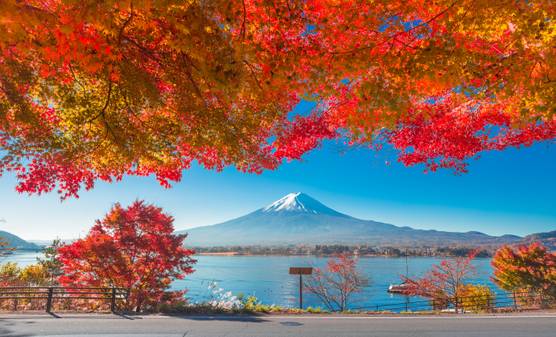 Mount Fuji in fall colors