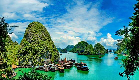 Lush karts in Halong Bay