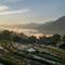 Morning over terraced rice fields